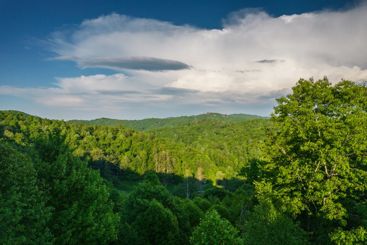 This image showcases a picturesque view of lush greenery, rolling hills, and a cloudy sky—emblematic of the Blue Ridge Mountains' natural beauty and outdoor allure.