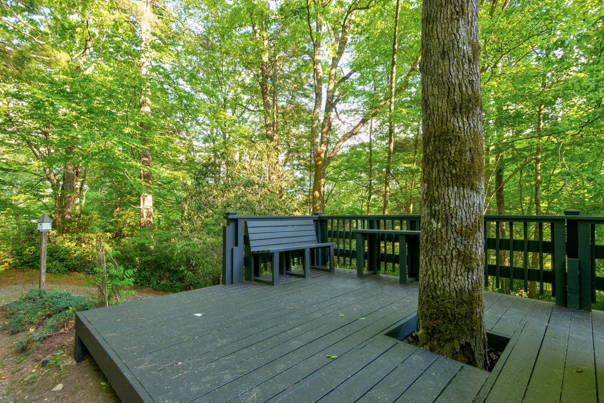 A peaceful exterior deck surrounded by trees, featuring a wooden bench and ample space for relaxing or enjoying outdoor activities. The area is bathed in natural light, offering a tranquil setting for watching sunsets or sipping morning coffee while taking in the forested surroundings.